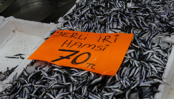 Ordu’da hamsinin kilosu 70 liraya düştü: Vatandaşlardan biri sevinçten çiğ çiğ yedi