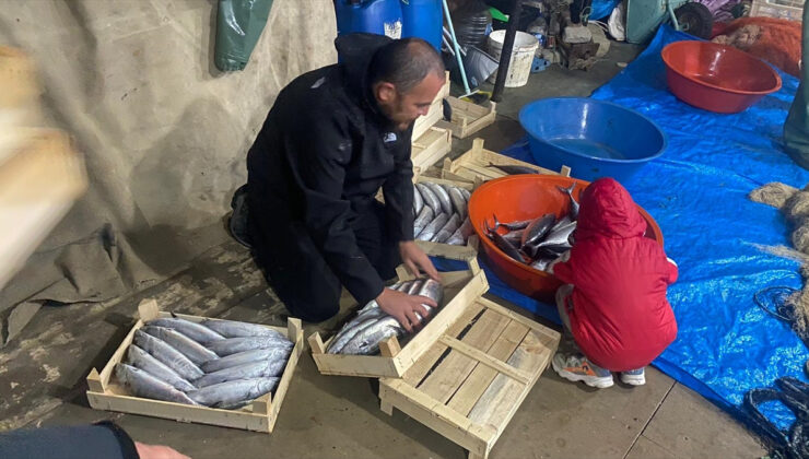 Sinop’ta bereketli av: 3 bin 200 palamut yakalandı