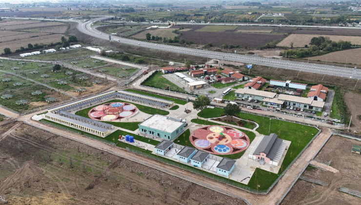 Sokak hayvanları sorununa ilk ve örnek adım Sakarya’dan: Başkan Yusuf Alemdar detayları paylaştı