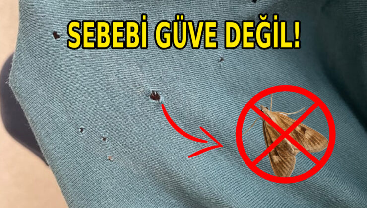 Tişörtlerinizdeki deliklerin sebebi güve değil: Bakın neden deliniyormuş