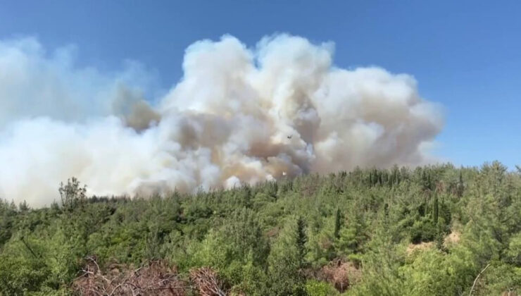 Türkiye’de 2025’te 6 bin 800 orman yangınıyla mücadele edildi