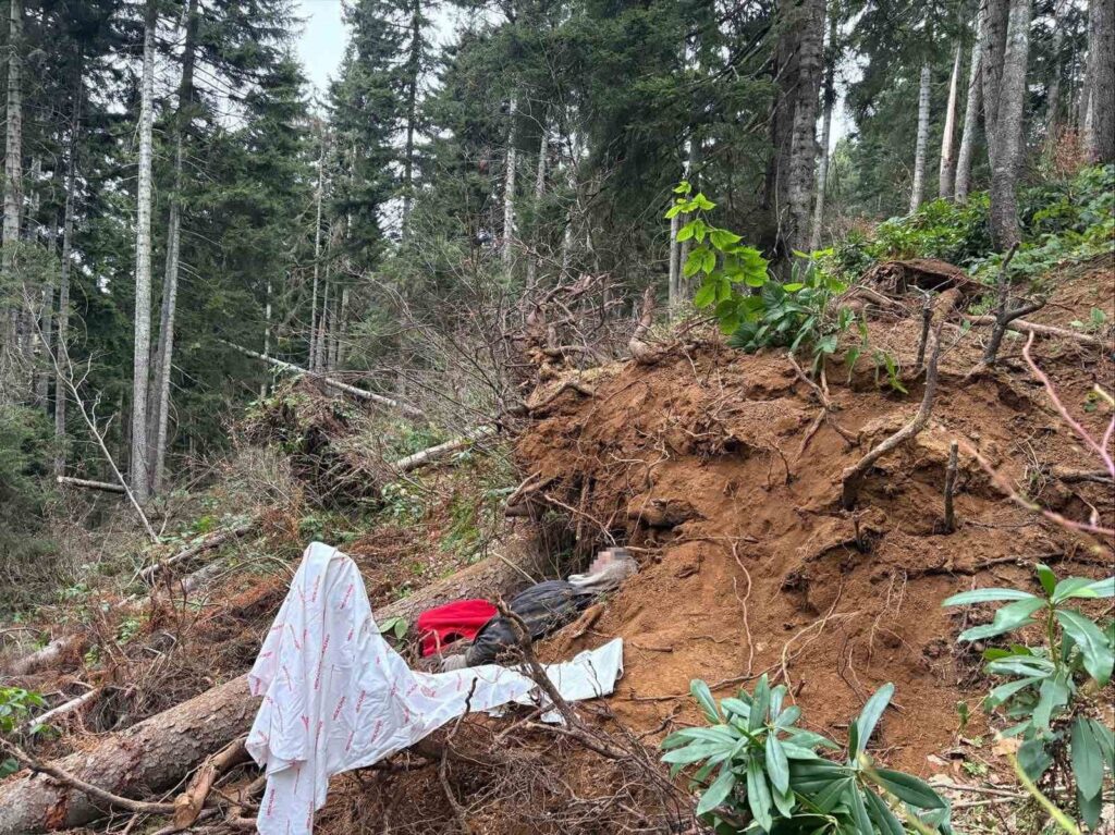 Ağaç Kesimi Kazası Trabzon