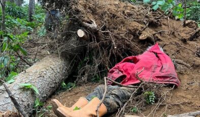 Trabzon’da Feci Kaza: Kestiği Ağacın Altında Kalan Coşkun Bayrak Öldü