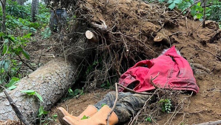 Trabzon’da Feci Kaza: Kestiği Ağacın Altında Kalan Coşkun Bayrak Öldü