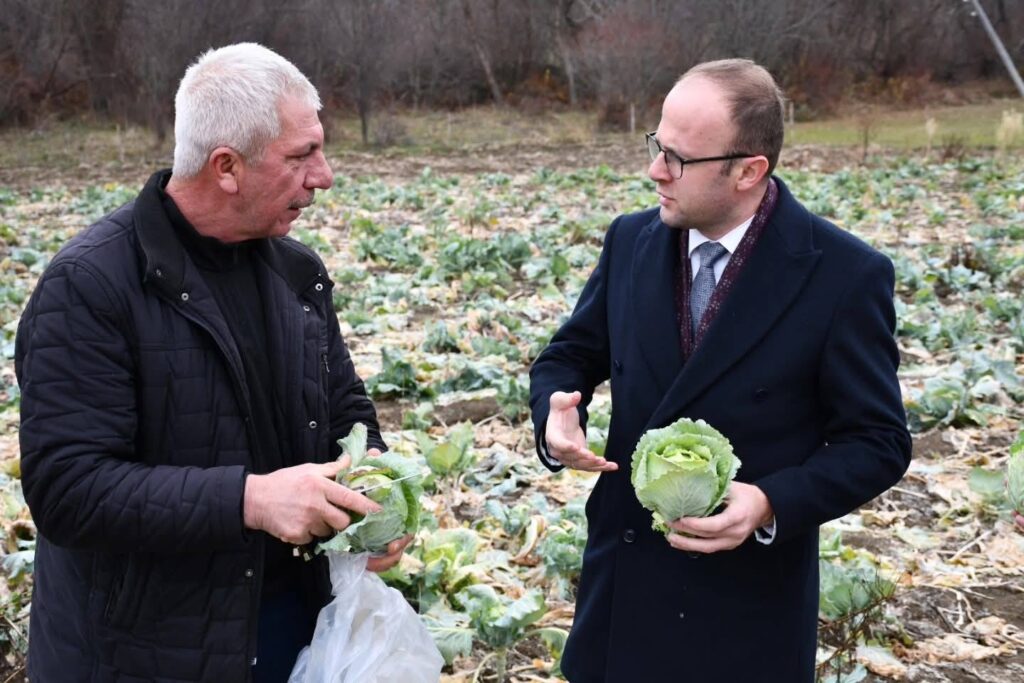 Alucra kelemi coğrafi işaret