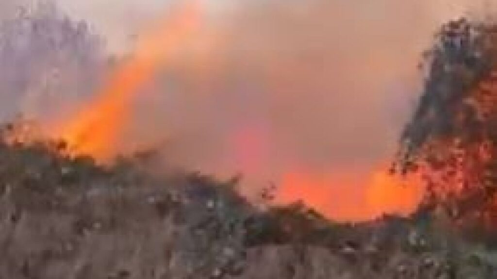 Artvin Hopa orman yangını