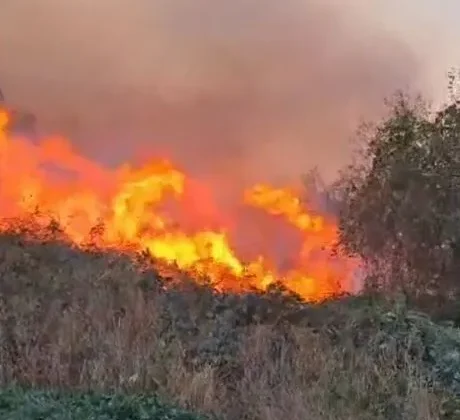 Artvin Hopa’da Yangın Paniği: Ziraat Alanından Ormana Sıçradı