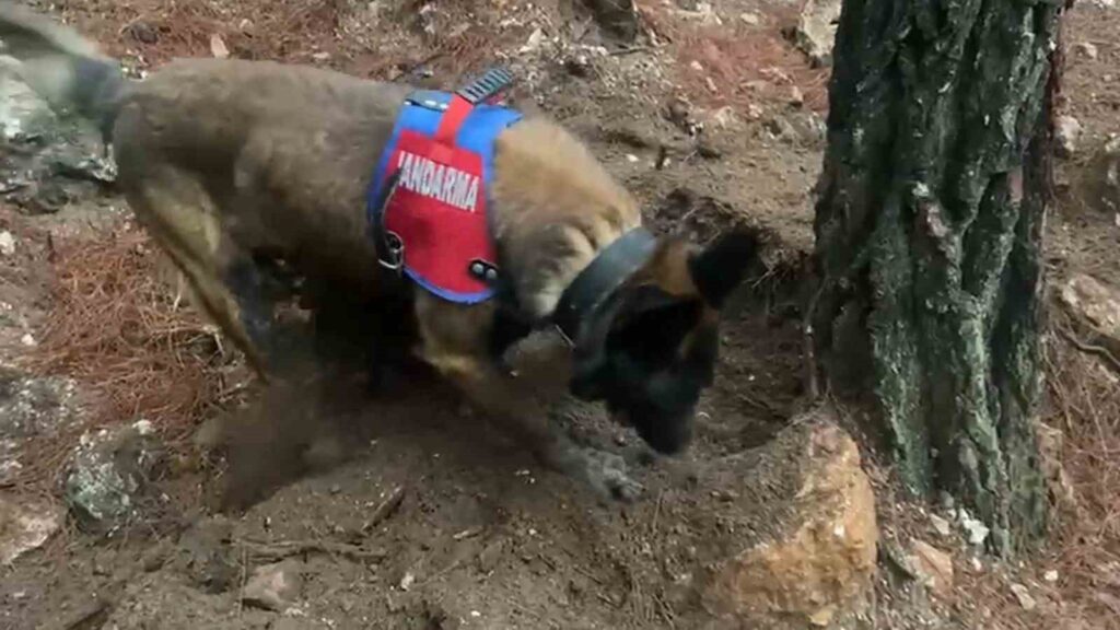 Fethiye 20 Yıllık Cinayet