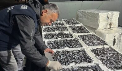 Hamsi Avına Sıkı Takip: Denetimler Aralıksız Sürüyor