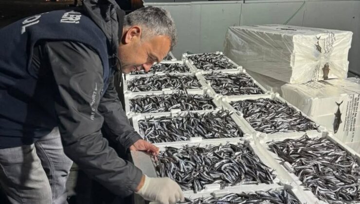 Hamsi Avına Sıkı Takip: Denetimler Aralıksız Sürüyor