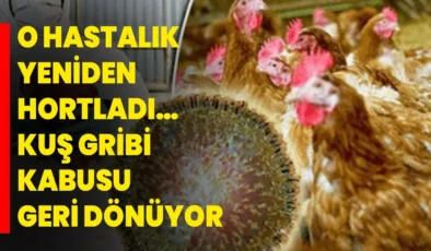 Giresun’da Kuş Gribi Alarmı! Muhtarlıklara Resmi Uyarı ve Kritik Önlemler