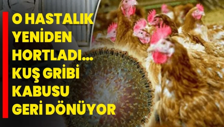 Giresun’da Kuş Gribi Alarmı! Muhtarlıklara Resmi Uyarı ve Kritik Önlemler