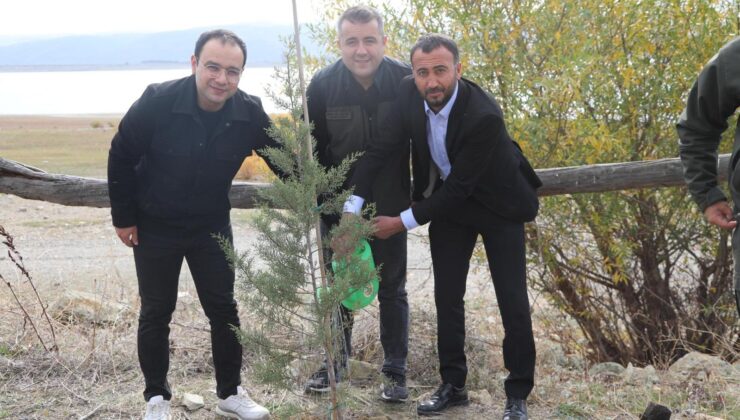 Gölova Belediyesi’nden Daha Yeşil Bir Çevre İçin Fidan Dikimi