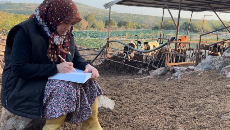 Erdemli’de Hayatını Yeniden Yazan Bir Anne: Habibe Tekeli