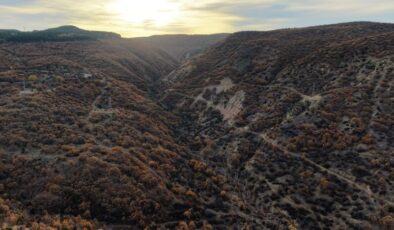 Renk Cümbüşü Başladı: Ilgaz Dağları Göz Kamaştırıyor