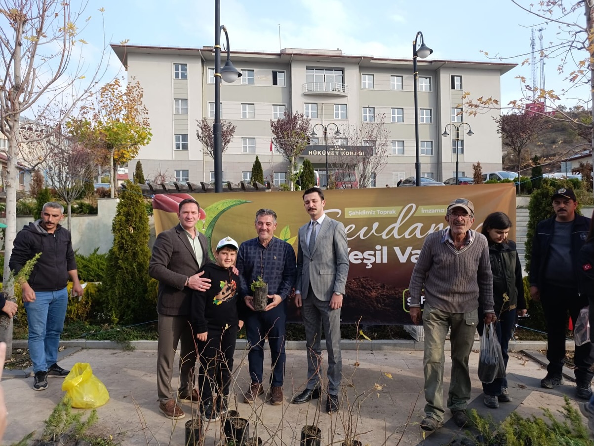Koyulhisar Fidan Dağıtımı