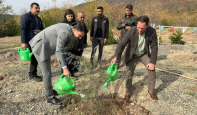Koyulhisar’da 11 Kasım’da Geleceğe Nefes Olacak Fidanlar Dikildi