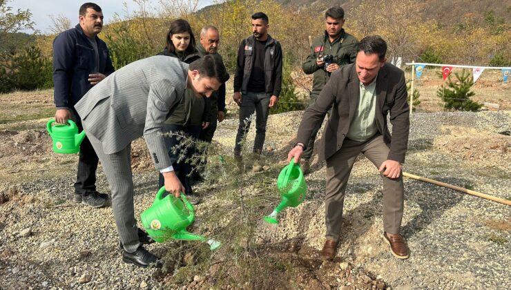 Koyulhisar’da 11 Kasım’da Geleceğe Nefes Olacak Fidanlar Dikildi
