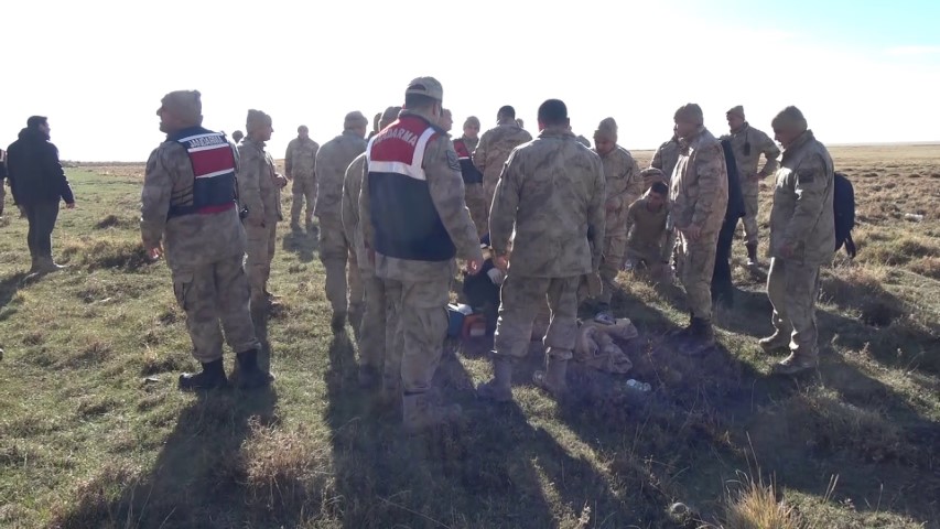 Koyunlar arasında hayatta kalan çoban