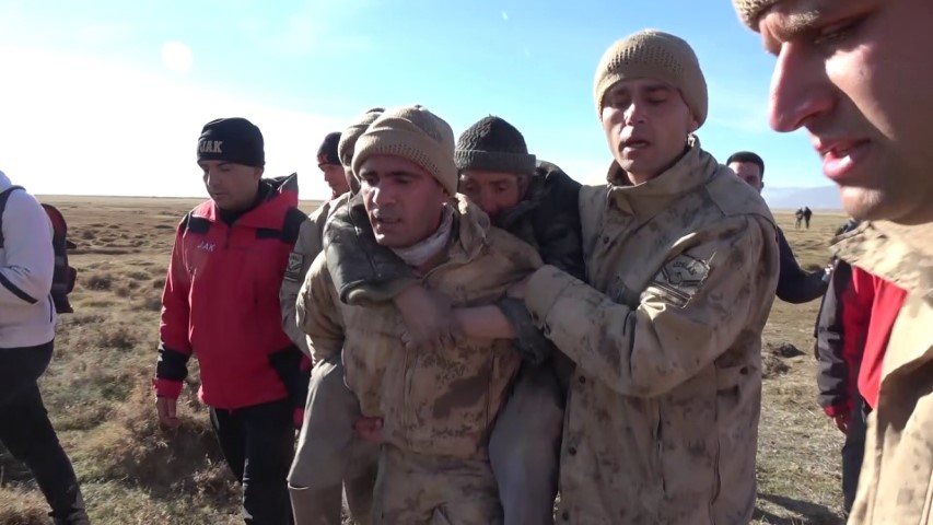 Koyunlar arasında hayatta kalan çoban