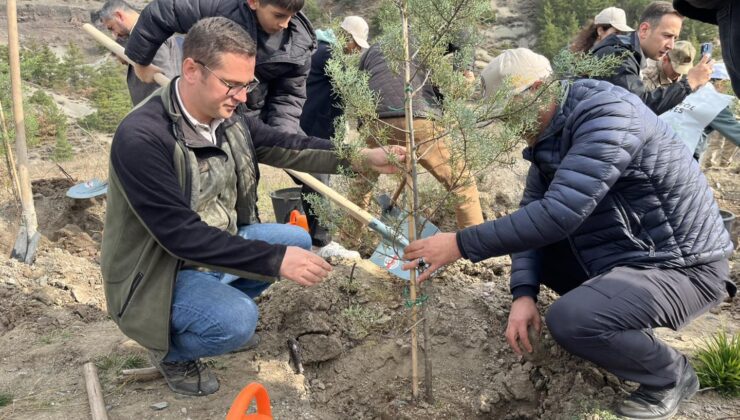 Mesudiye’de Ağaçlandırma Günü Coşkusu: Geleceğe Umut Ektiler