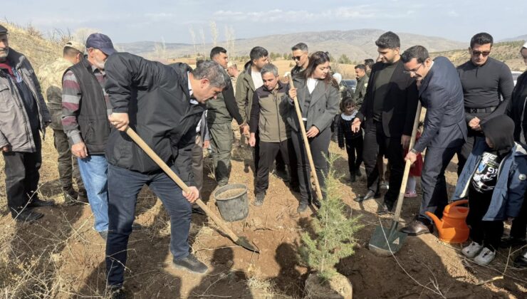 Refahiye Belediyesi’nden Yeşil Geleceğe Yatırım