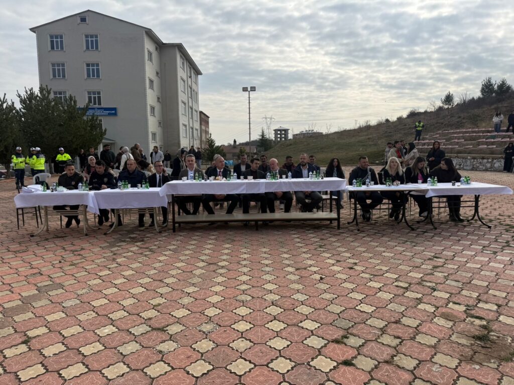Şebinkarahisar Hamsi Şenliği