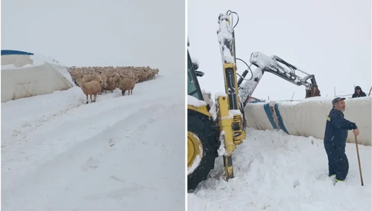 Kangal Yaylasında Kar Alarmı: 40 cm Kar Çadırı Yıktı