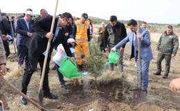 Suşehri’nde 11 Kasım Milli Ağaçlandırma Günü Coşkusu