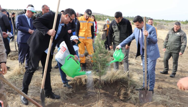 Suşehri’nde 11 Kasım Milli Ağaçlandırma Günü Coşkusu