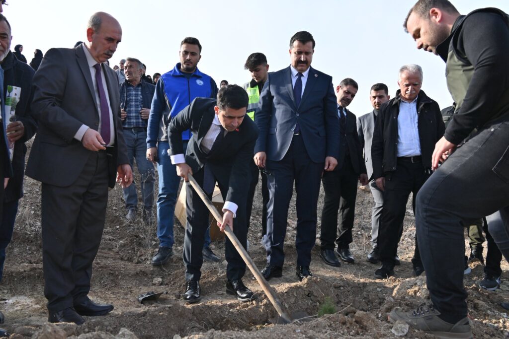 Suşehri Öğretmenler Günü Ağaçlandırma