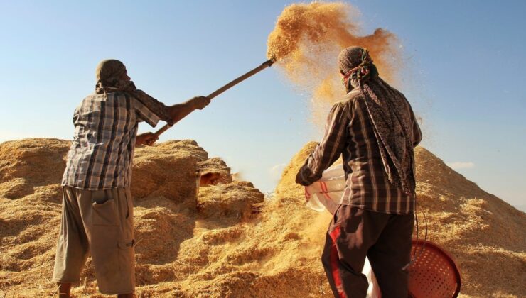 TÜİK Açıkladı: Tarımsal Girdi Fiyat Endeksi (Tarım-GFE) Yıllık %34,60 Yükseldi