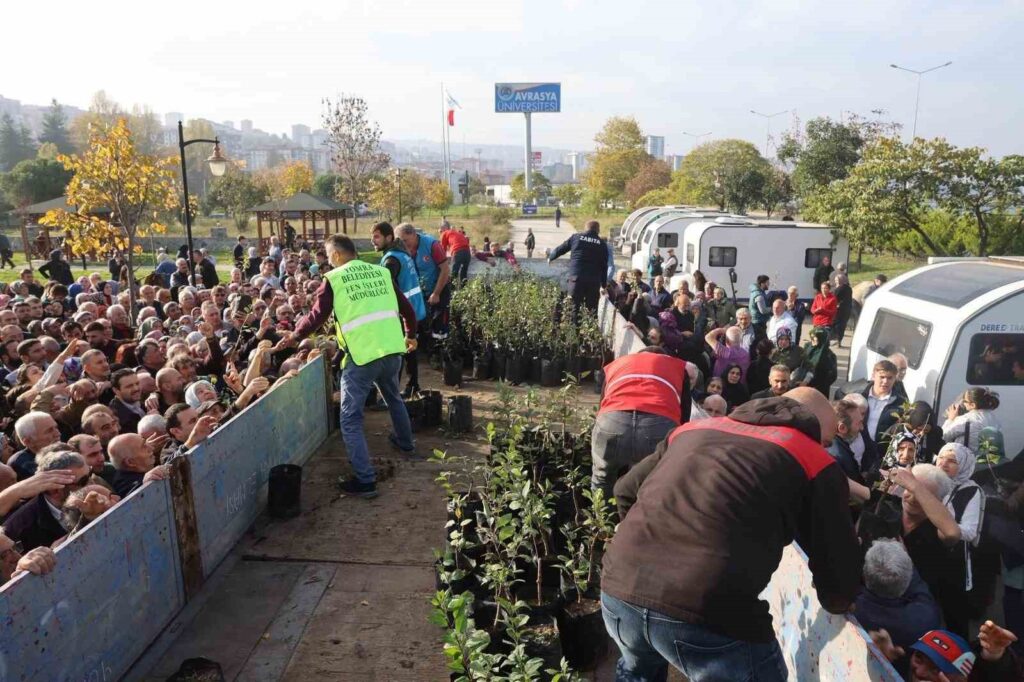 Yomra Elması Fidan Dağıtımı