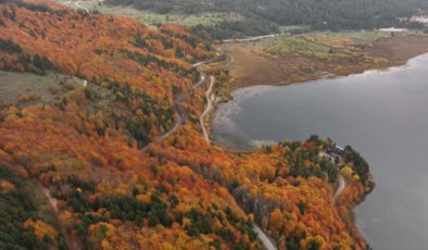 Abant’ta Kartpostallık Hafta Sonu: Doğaseverler Sonbaharın Renkleri İçin Kuyruğa Girdi!