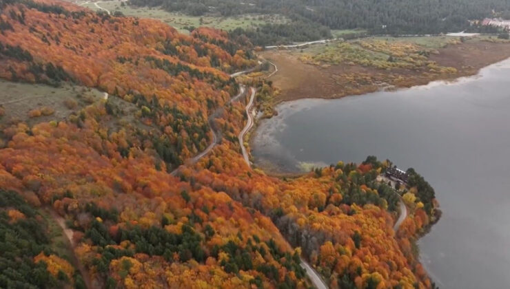 Abant’ta Kartpostallık Hafta Sonu: Doğaseverler Sonbaharın Renkleri İçin Kuyruğa Girdi!