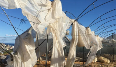 Ekimde üreticilere 11,6 milyar lira hasar tazminatı ödendi