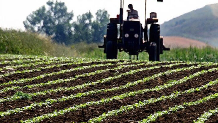 FAO’dan Türkiye’ye 8,1 Milyon Dolarlık Kaynak