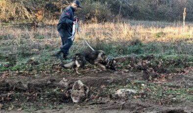 Kaybolan Mantar Tüketicisi Bulundu