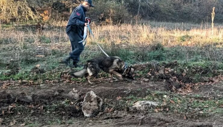 Kaybolan Mantar Tüketicisi Bulundu