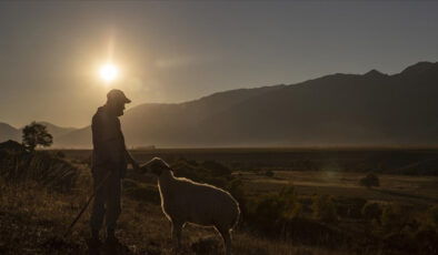 Kırsal nüfus oranının artırılması için ilave tedbirler geliyor