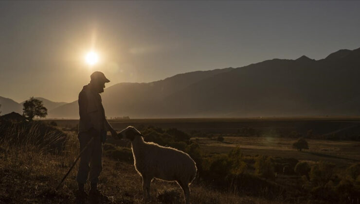 Kırsal nüfus oranının artırılması için ilave tedbirler geliyor