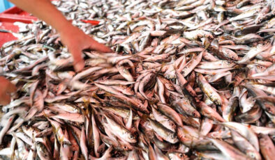 Mevsimi geldi: Kasım ayının 5 balığı