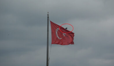 Samsun’da Karganın Türk Bayrağı İnadı: Dakikalarca Mücadele Verdi