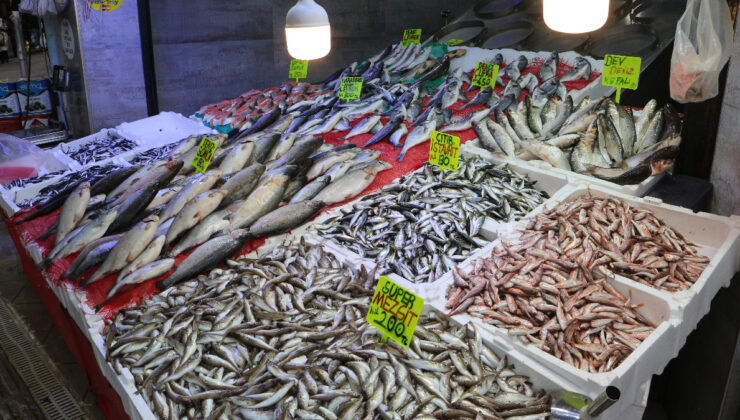 Samsun’da Soğuyan Havayla, Balık Tezgahları Da Hamsi İle Doldu