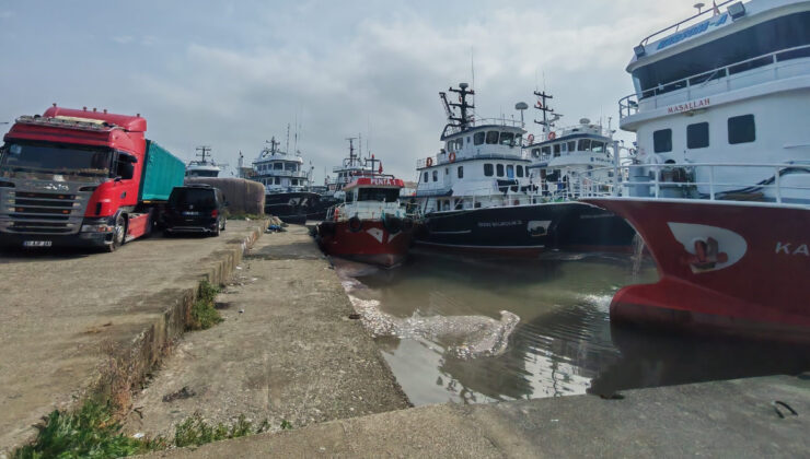 Trabzon’un Araklı Limanı’nda hafta sonu hamsi yoğunluğu yaşandı