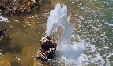 Van Gölü’nün Saklı Güzelliği Ortaya Çıktı: Mikrobiyalitlerden Tatlı Su Fışkırıyor