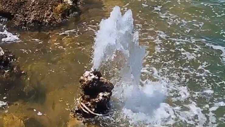 Van Gölü’nün Saklı Güzelliği Ortaya Çıktı: Mikrobiyalitlerden Tatlı Su Fışkırıyor