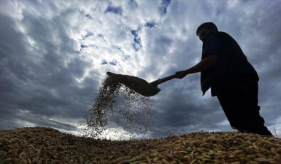 Zirai don desteğinde üreticilere 1,7 milyar lira daha ödenecek