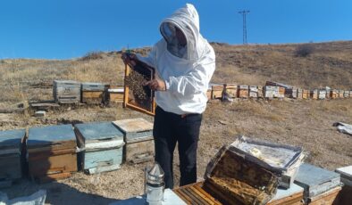 Sahte Bal Alarmı! Uzman Uyardı: “Şifa Kaynağı Bal Zehre Dönüşebilir”