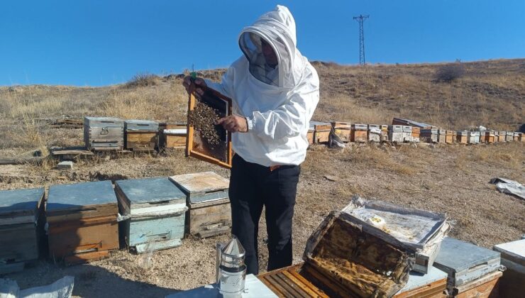 Sahte Bal Alarmı! Uzman Uyardı: “Şifa Kaynağı Bal Zehre Dönüşebilir”
